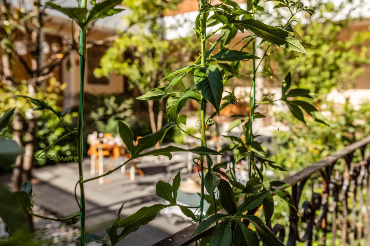 Casa Tuna Mexico by Eksteriør bilde